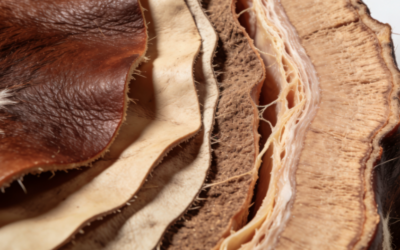 トップレザー(頭層牛皮)とは何か、なぜ選ばれるのか
